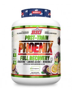 PHOENIX1800g RECUPERADOR...