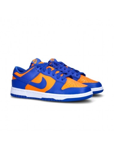 Nike Dunk Low Retro blue TALLA 44